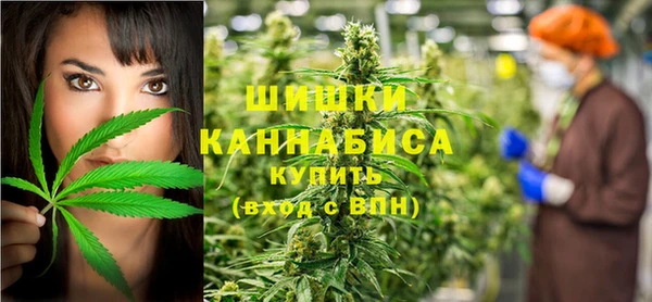 ешки Арсеньев