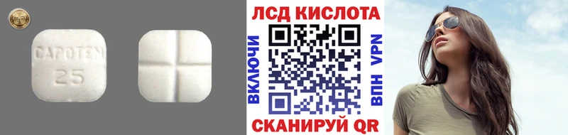 LSD-25 экстази кислота  hydra вход  Николаевск-на-Амуре 