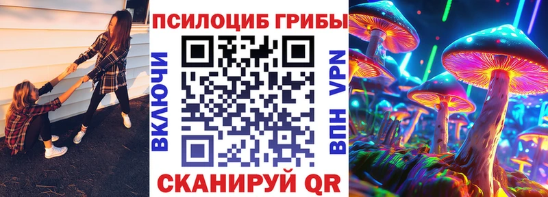 магазин Николаевск-на-Амуре Псилоцибиновые грибы мицелий